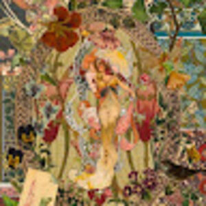 Meet your Posher, Phoenix